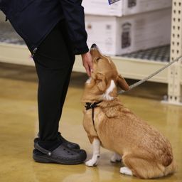 photograph by PeterW